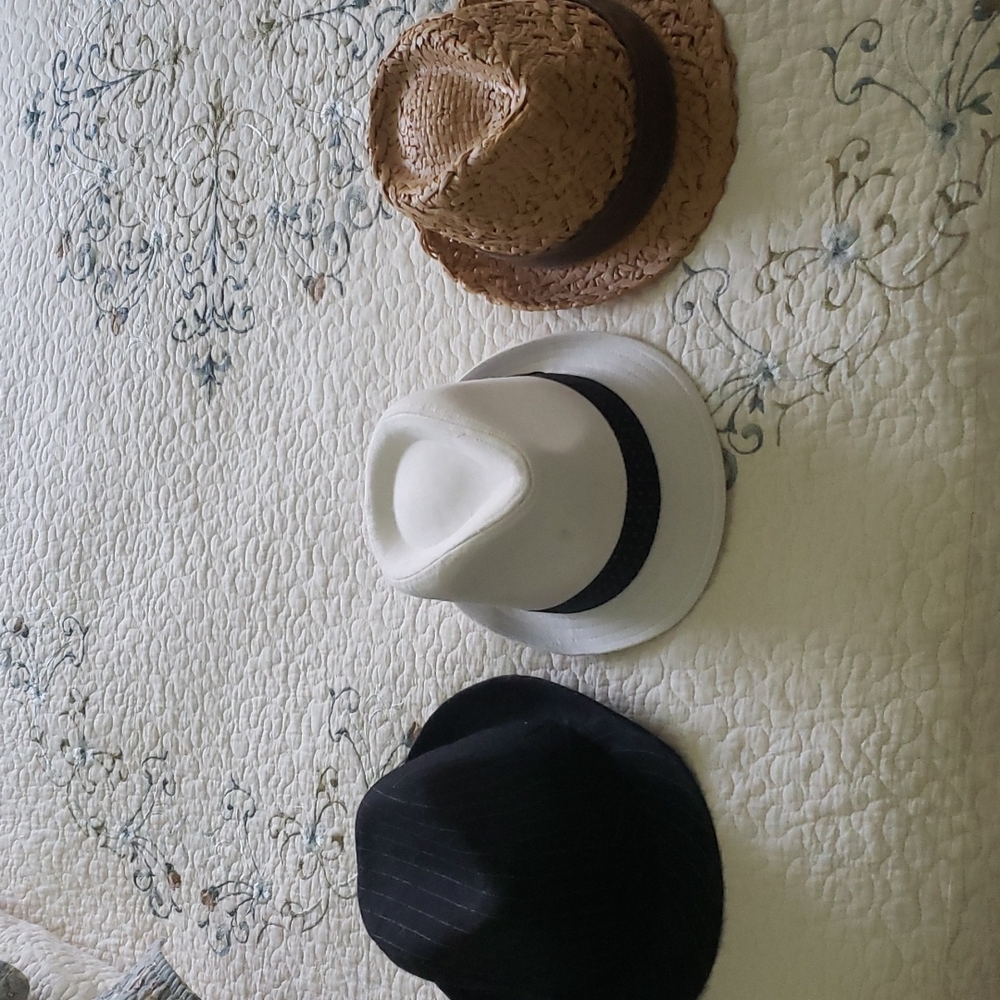 Lot of 3 fedora/ Panama style hats.